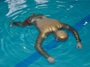 dsc0012