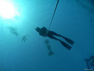 Image00013