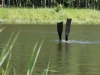 Image00014