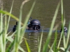 Image00015