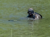 Image00019