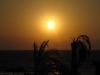 image00043