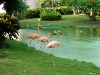 Image00001
