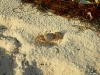 Image00002