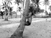 Image00004