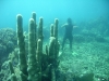 Image00008