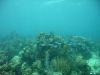 Image00010