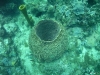 Image00011