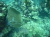 Image00012