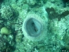 Image00013