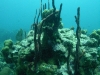 Image00015