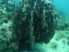 Image00016