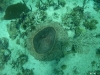 Image00019