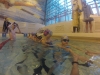 DCIM100GOPRO