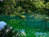 Image00004