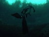 DCIM100GOPRO