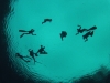 DCIM100GOPRO