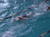 image00008