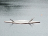 image00006