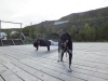 image00010