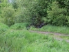 image00007
