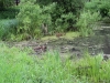 image00008