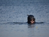 Image00013