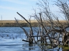 Image00019