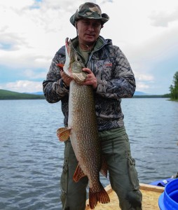 This picture made available on July 26, 2013 shows Russian President Vladimir Putin holding a huge pike fish, after he caught it in the Tyva region on July 20, 2013 during his vacation.   AFP PHOTO/ RIA-NOVOSTI/ ALEXEY DRUZHININ